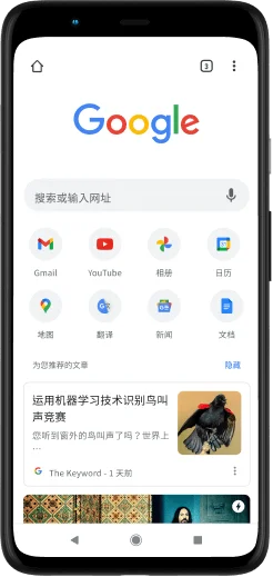 显示 Google 网页的 Google Pixel 手机屏幕。